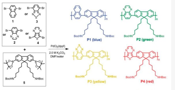Figure 1. Chemical structure and synthesis pathway of conjugated polymers. (OA Literature)