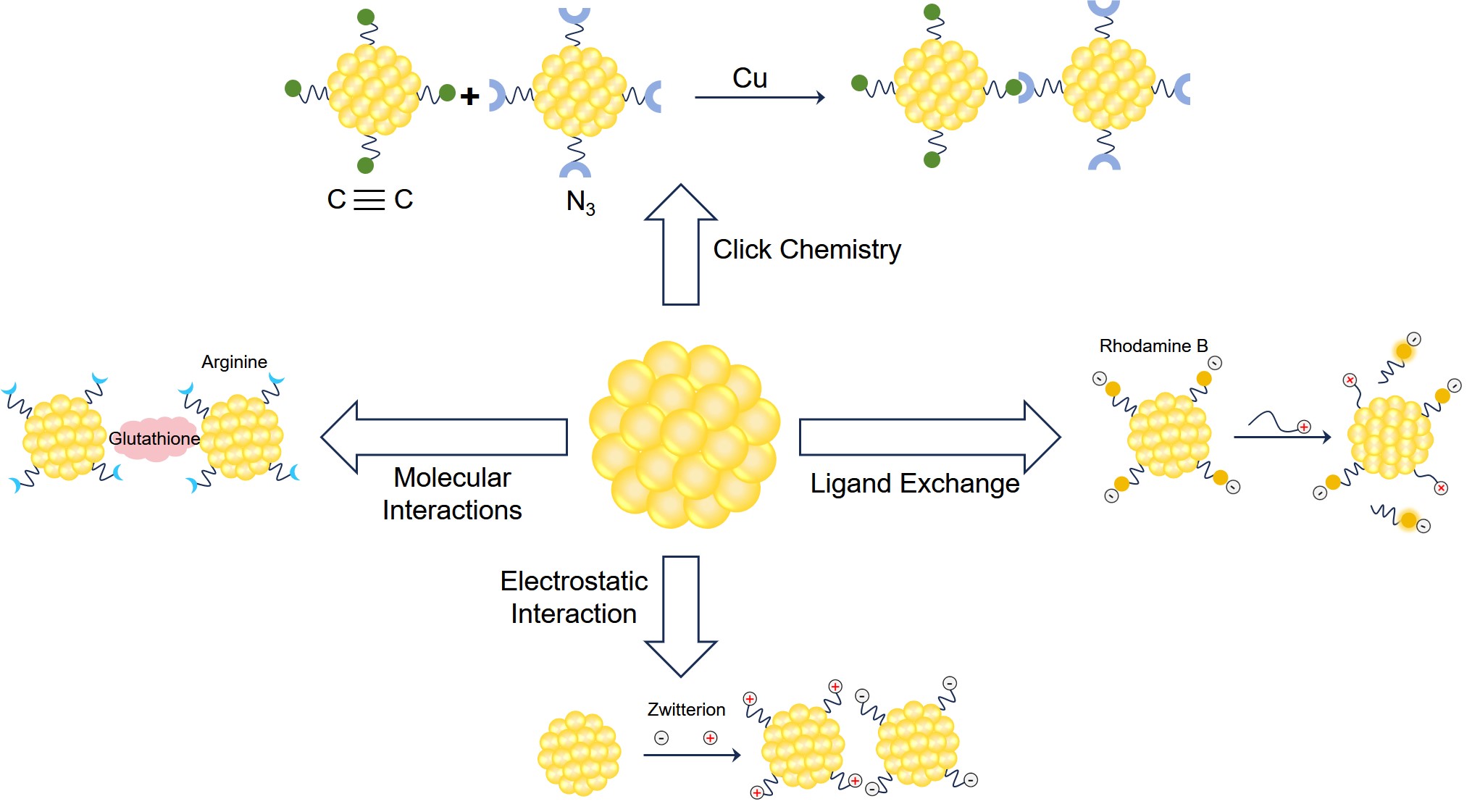 Fig.1 Strategies of surface chemistry for bioconjugation of AuNPs with small molecules. (Creative Biolabs Original)