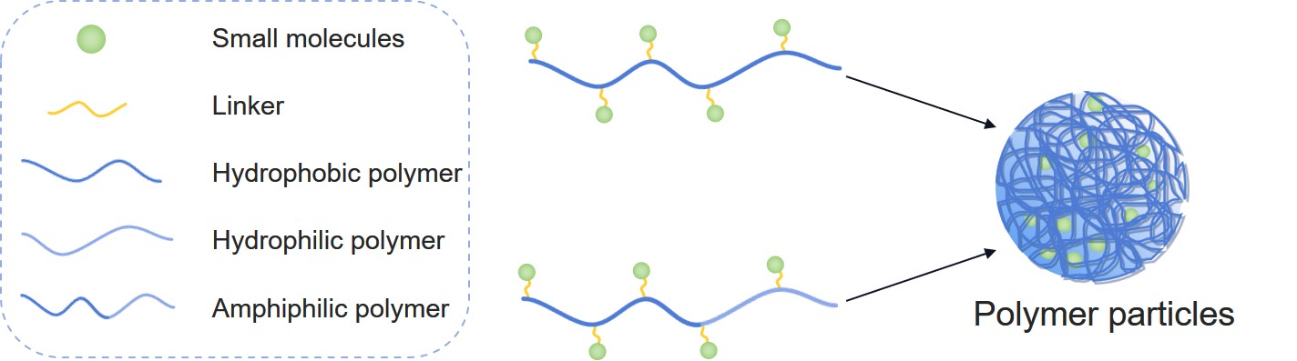 Fig.2 Two representative polymer-drug conjugates (PDCs). (Creative Biolabs Original)