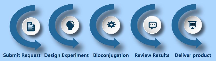 Process of Our Conjugation Services. (Creative Biolabs Original)