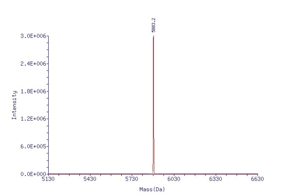 Mass analysis of oligonucleotide-small molecule conjugation case. (Creative Biolabs Authorized)