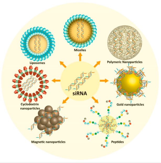 Figure 1: Nanotechnology Approaches for siRNA Delivery in Effective Prostate Cancer Treatment. (OA Literature)