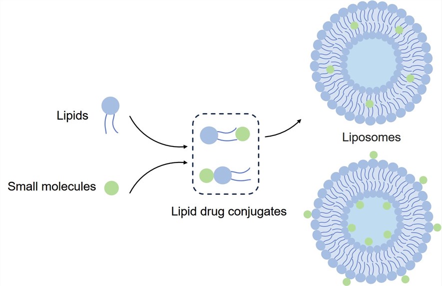 Small-molecule related conjugation. (Creative Biolabs Original)