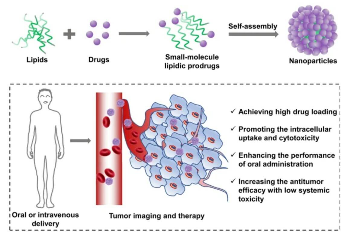 Figure 2: Development of Small-Molecule Lipidic Prodrugs as Innovative Nanomedicines. (OA Literature)