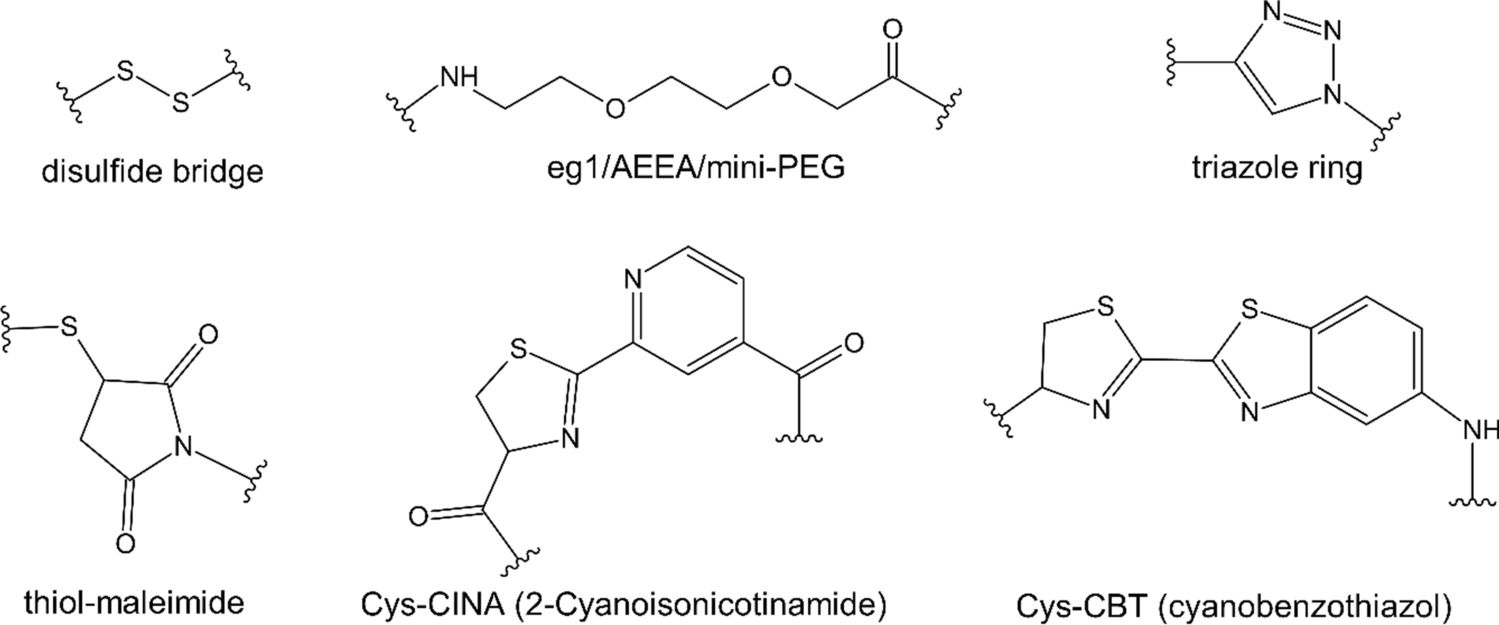 Figure 2: Various Linkers Employed in PNA Conjugation. (OA Literature)