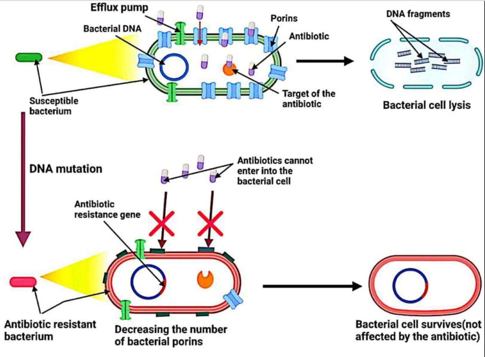 Figure 2 Overview of Antibiotic Resistance Mechanisms. (OA Literature)