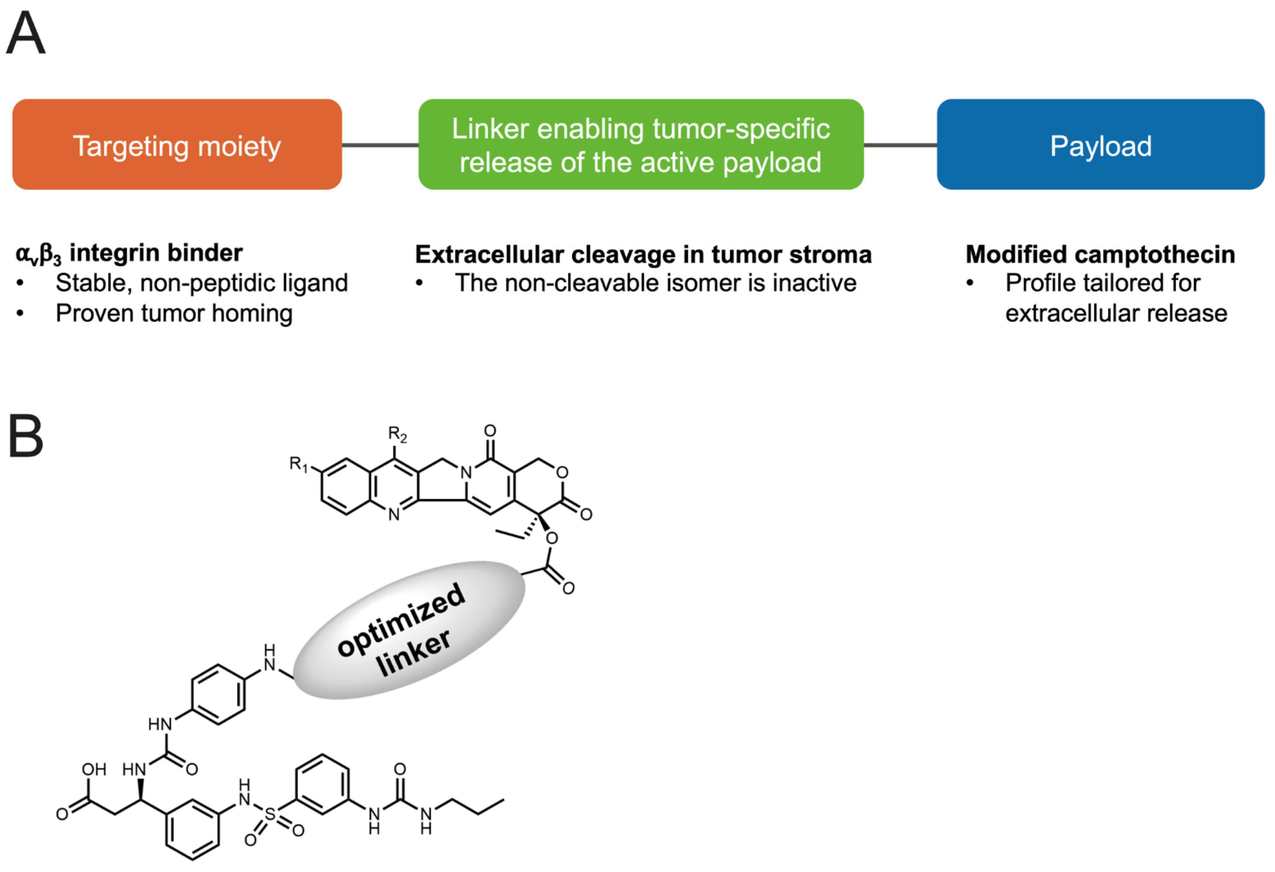 Configuration of the Small Molecule–Drug Conjugate. (OA Literature)
