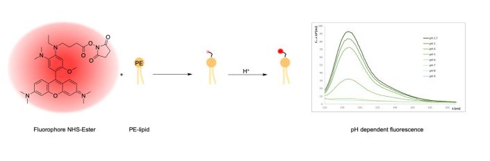 Figure 1 Timeline Highlighting the Introduction of New Antibiotic Classes by Decade. (OA Literature)