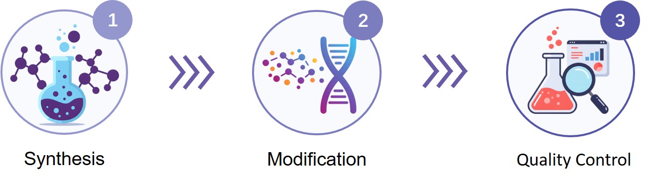 Fig.1 Peptide synthesis, modification and quality control. (Creative Biolabs Original)