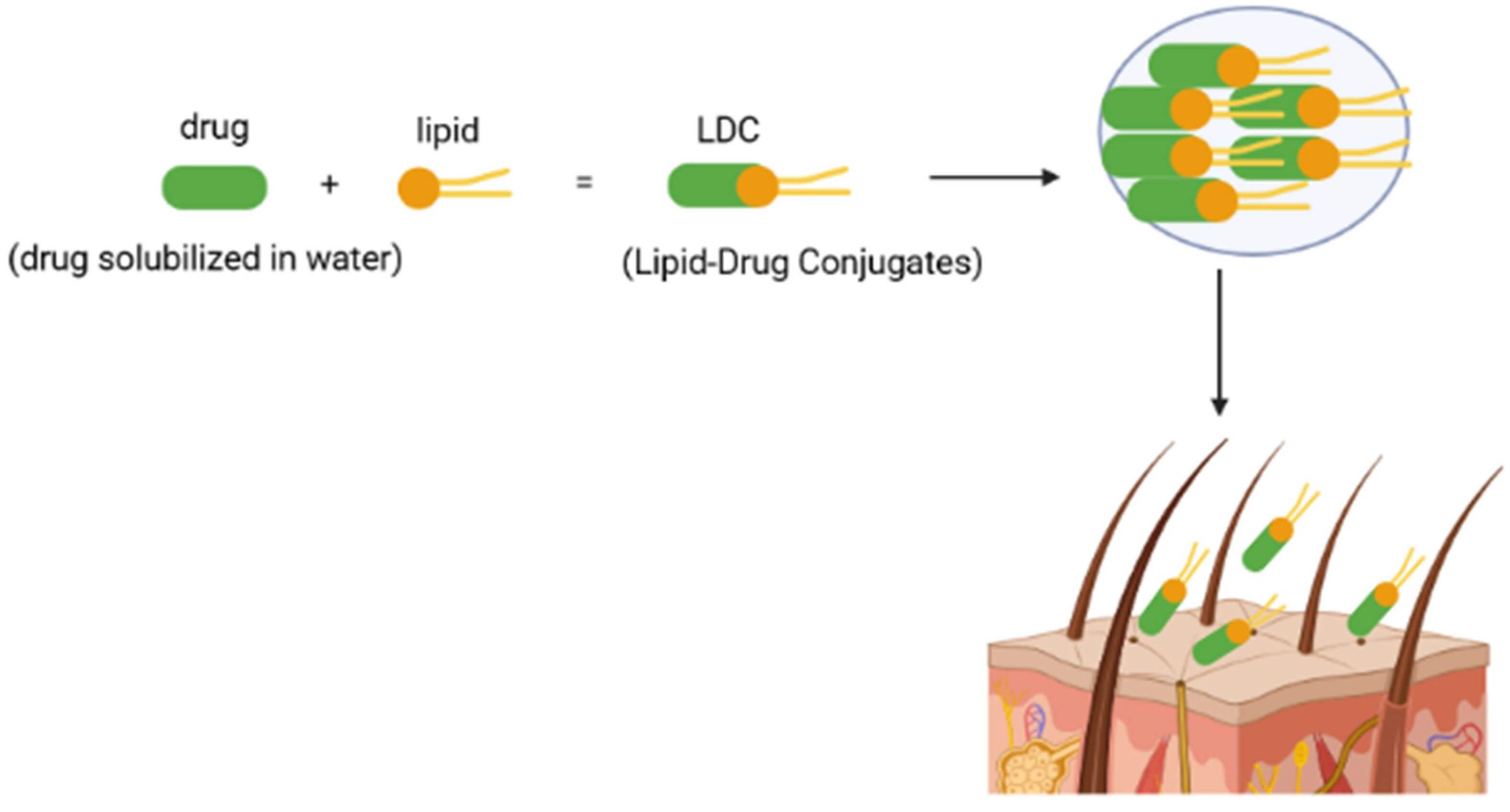 Figure 1: Schematic Depiction of the Mechanism of Action of Lipid-Drug Conjugates. (OA Literature)