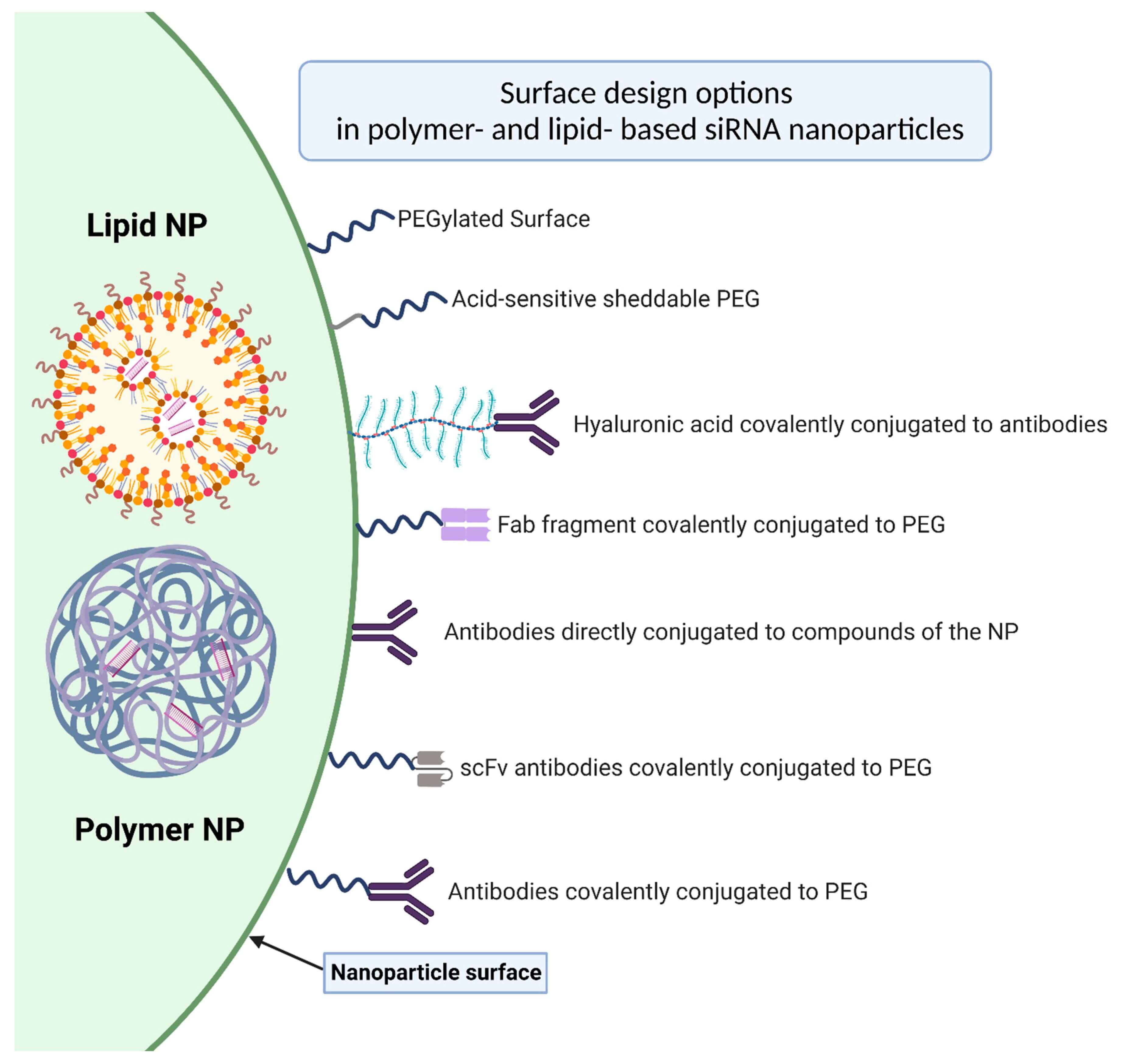 Figure 1: Figure 1 The schematic illustration shows lipid- based siRNA nanoparticles design. (OA Literature)