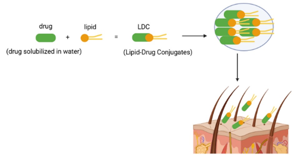 Fig.1 A diagram showing how lipid-drug conjugates work for dermal delivery. (OA Literature)