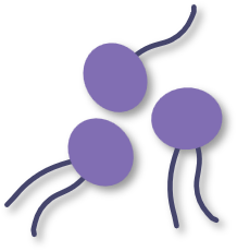 Icon 4 (Creative Biolabs Original)