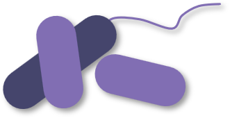 Icon 5 (Creative Biolabs Original)