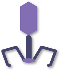 Icon 7 (Creative Biolabs Original)