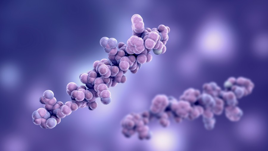 Fig.1 (Creative Biolabs Authorized)