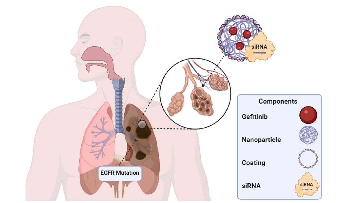 Precision nanomedicine. (Akanksha, Usha & Yogendra, 2024. OA Literature)