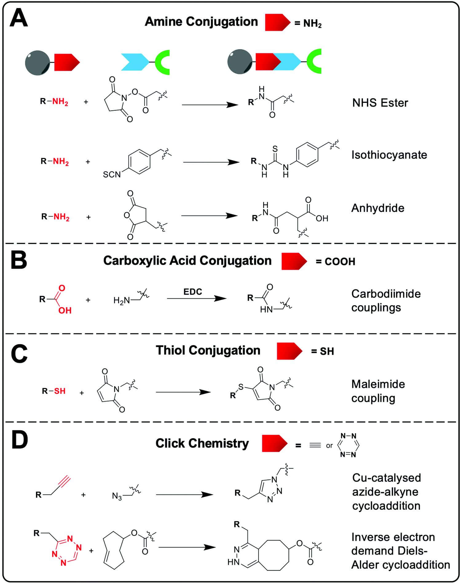 Figure 1 Application of brain organoids as disease models. (OA Literature)