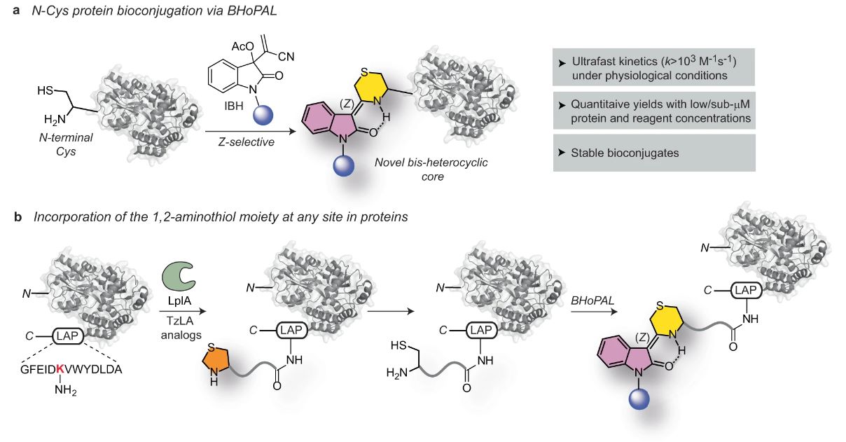 Figure 1: Advancements in Crosslinker Development. (OA Literature)