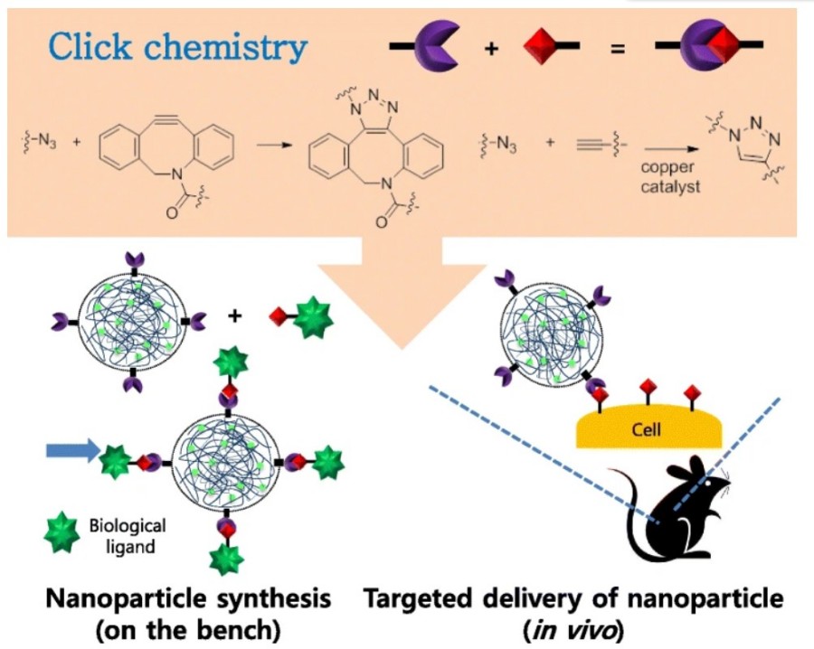 Figure 1 Illustration of Click Chemistry Usage in Nanoparticle Synthesis and In Vivo Targeting. (OA Literature)