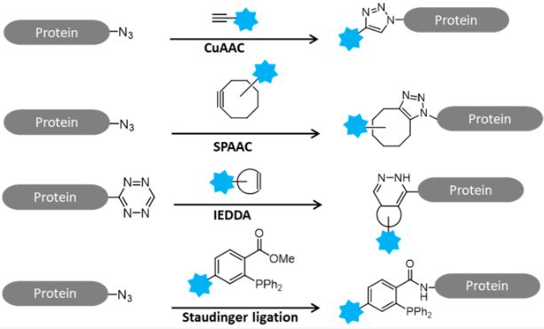 Figure 1: Figure 1 Schematic representation of click chemistry reactions. (OA Literature)