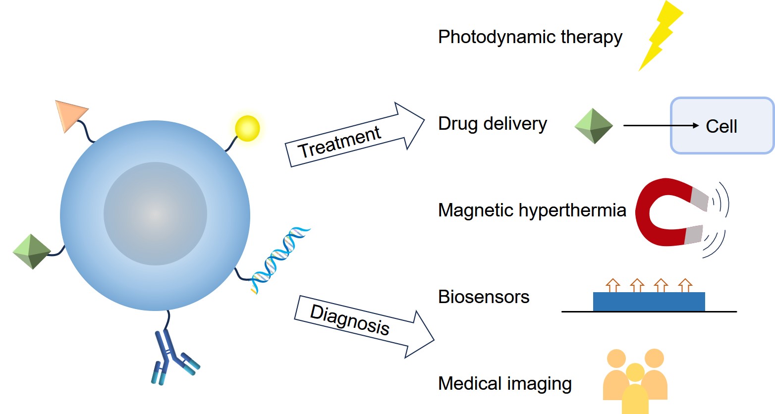 Fig.2 Various applications of MNPs. (Creative Biolabs Original)