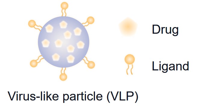 Fig.1 Schematic representation of virus-like particle (VLP). (Creative Biolabs Original)