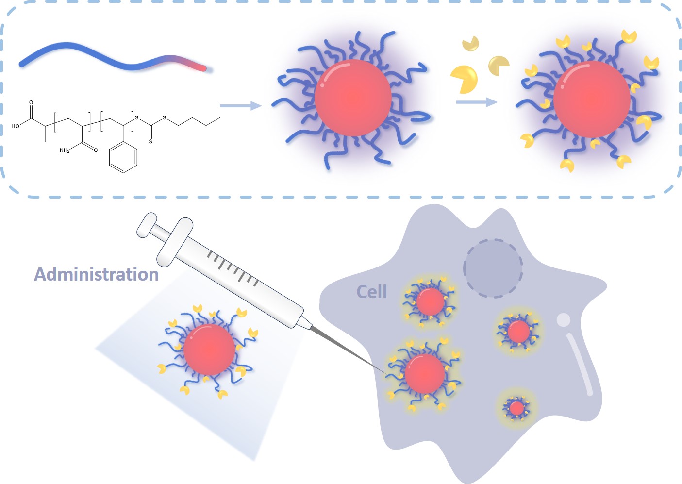 Fig.1 Latex nanoparticles can be used as drug delivery carriers and be fluorescently labeled. (Creative Biolabs Original)