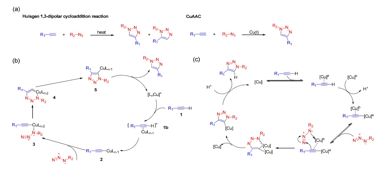 Fig.1 Schematic diagram of the mechanism for copper(I)-catalyzed alkyne-azide cycloaddition.
