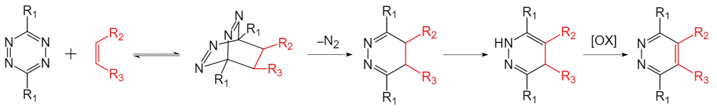 Fig.1 Schematic of the reaction mechanism of IEDDA. (Creative Biolabs Original)