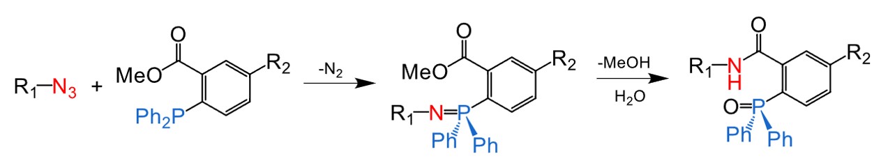 Fig.1 Schematic representation of the response mechanism for Staudinger ligation.