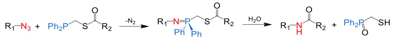 Fig.2 Schematic representation of the response mechanism for traceless Staudinger ligation.