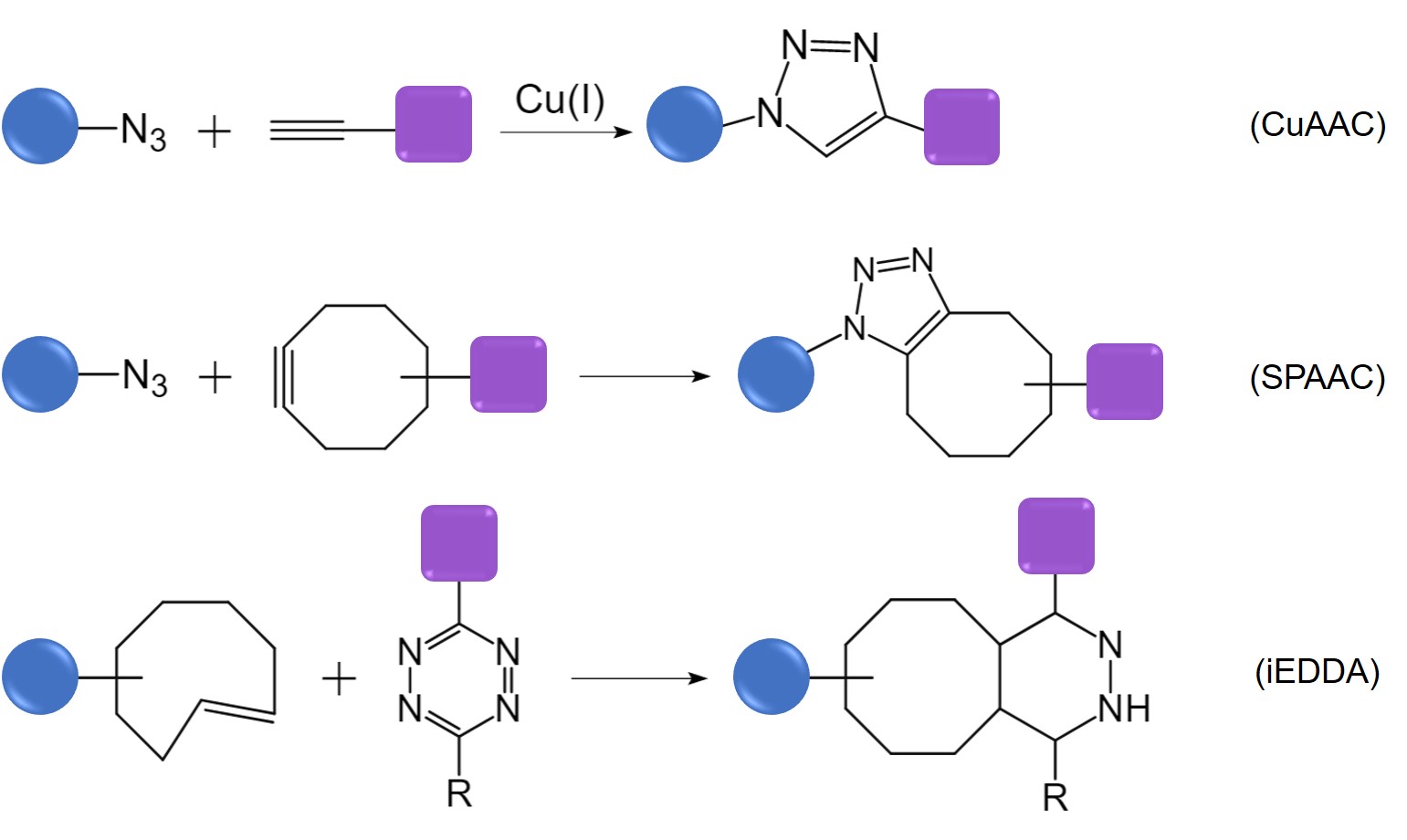 Mechanisms of three classical reactions in click chemistry. (Creative Biolabs Original)
