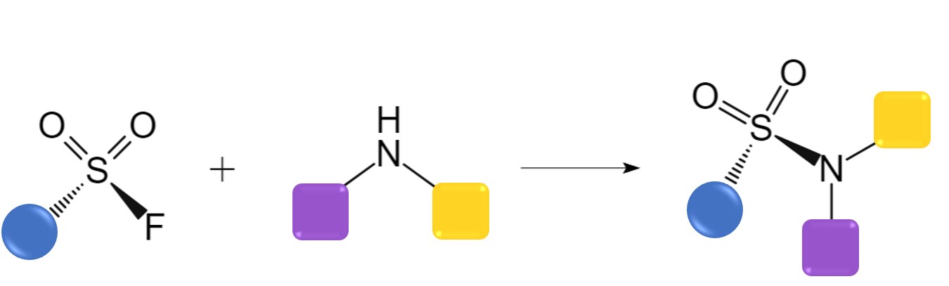 Schematic mechanism of the sulfur(VI)-fluoride exchange. (Creative Biolabs Original)