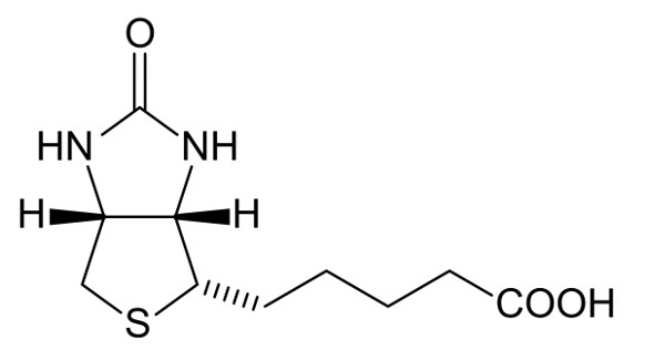 Fig.1 Schematic of the chemical structure of biotin.