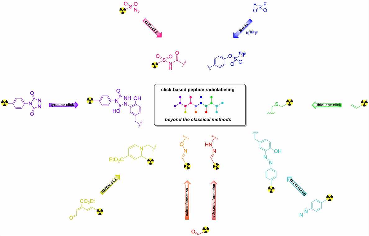 Figure 1: Cutting-Edge Peptide Bioconjugation. (OA Literature)