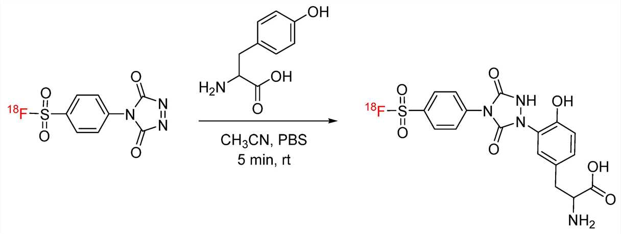 Figure 2: Tyrosine-Click Bioconjugation of [18F] FS-PTAD with L-Tyrosine. (OA Literature)