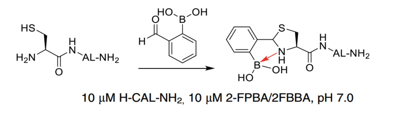 Fig.5 Reactions and conditions of 2-FPBA for NCys bioconjugation. (Spears & Chudasama, 2023)
