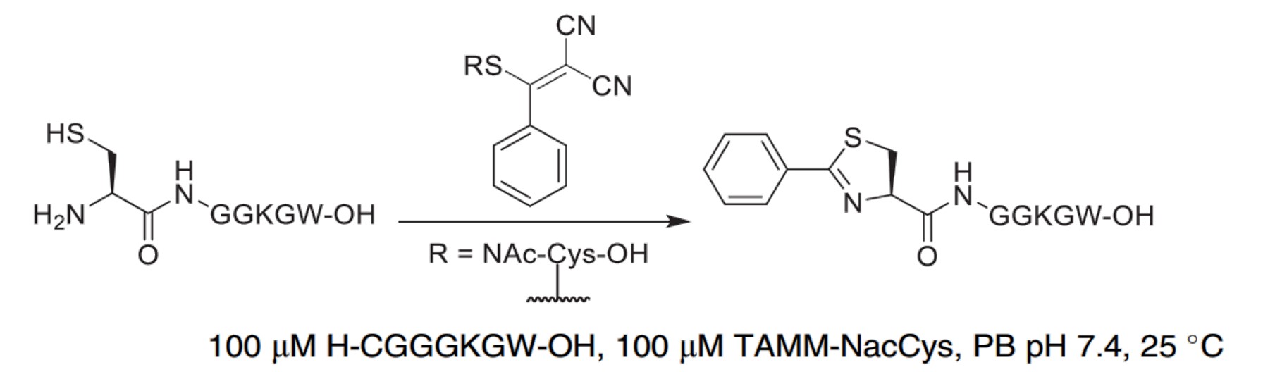 Fig.6 Reactions and conditions of TAMM for NCys bioconjugation. (Spears & Chudasama, 2023)