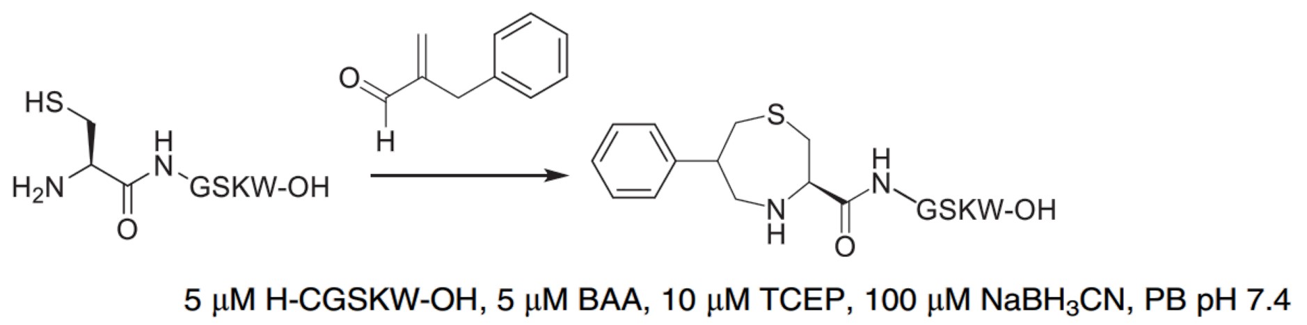 Fig.9 Reactions and conditions of BAA with NaBH3CN for NCys bioconjugation. (Spears & Chudasama, 2023)