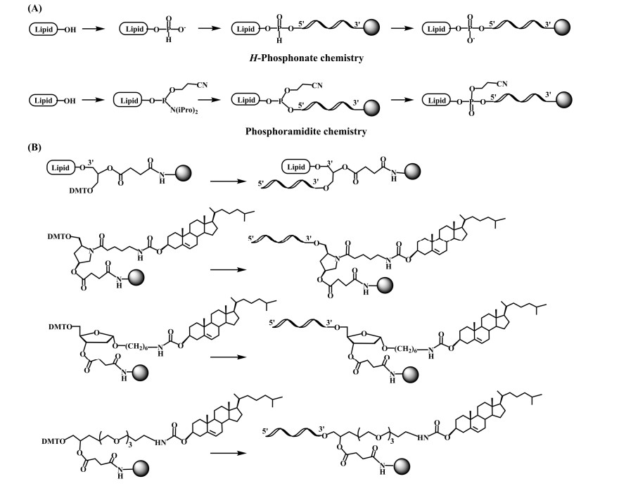 Fig.1 Approaches to lipid-oligonucleotide bioconjugation. (OA Literature)