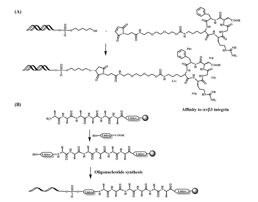 Fig.2 Approaches to oligonucleotide-peptide bioconjugation. (OA Literature)