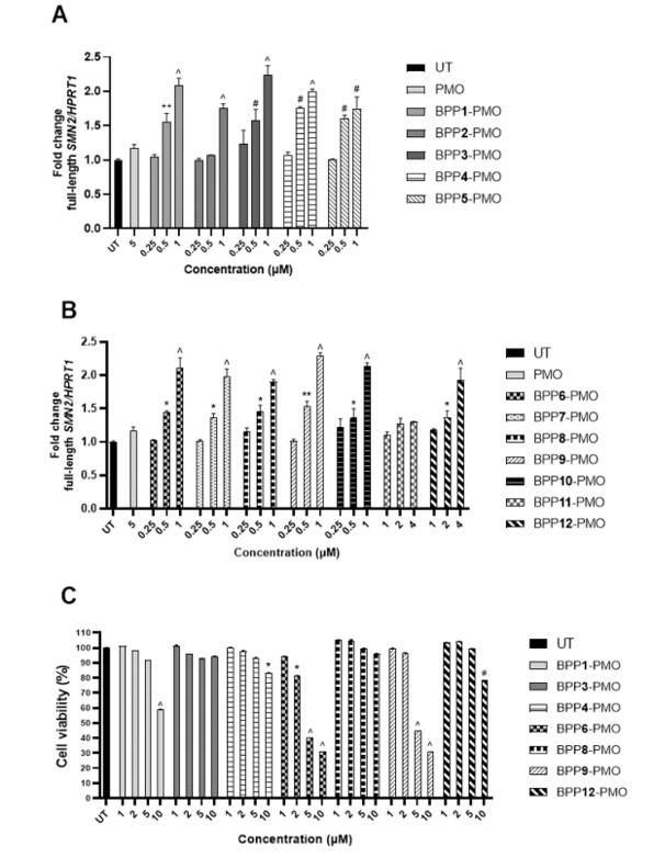 Fig. 2 This figure presents the in vitro cellular uptake efficiency and cytotoxicity assessment of the BPP-PMO (blood-brain barrier-penetrating peptide-phosphorodiamidate morpholino oligomer) conjugates. (OA Literature)