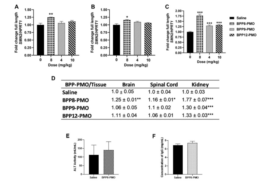 Fig. 3: This figure shows the analysis of the fold change in full-length SMN2 mRNA transcript levels and alanine transaminase activity resulting from treatment with the BPP-PMO conjugates. (OA Literature)