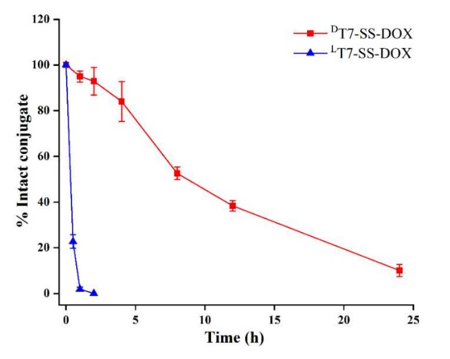 Fig.2 In vitro stability analysis of T7-SS-DOX and DT7-SS-DOX in mouse serum. (OA Literature)
