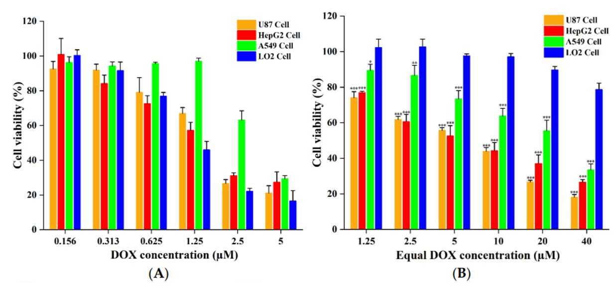 Fig.5 In vitro assessment of cytotoxicity for free DOX (A) and DT7-SS-DOX (B) in cells. (OA Literature