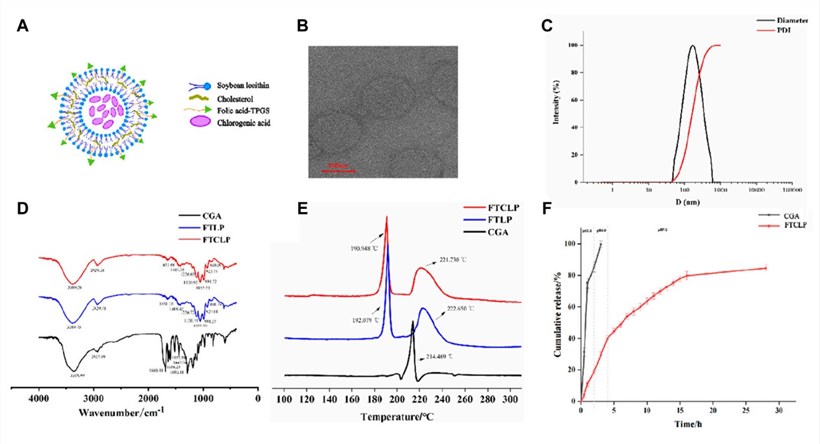 Fig.1 The figure shows that FTCLP was characterized by its structure, TEM imaging, size and polydispersity indices, FTIR and DSC analyses, and the in vitro release of CGA from FTCLP was investigated. (OA Literature)