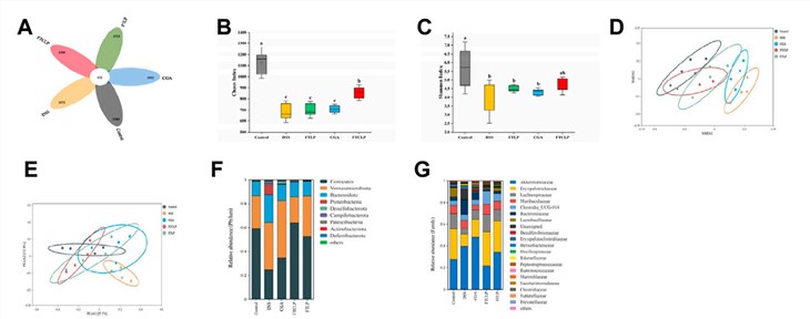 Fig.3 FTCLP modulated the abundance and diversity of gut microbiota, as evidenced by Venn diagrams, Chaos and Shannon diversity indices, NMDS and PCoA analyses at the phylum level, and assessments of relative abundance at the phylum and family levels. (OA Literature)