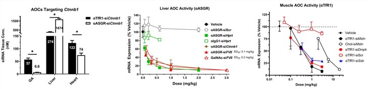 Fig.2 The tissue targeting capabilities of AOC and its activity in muscle and liver. (OA Literature)