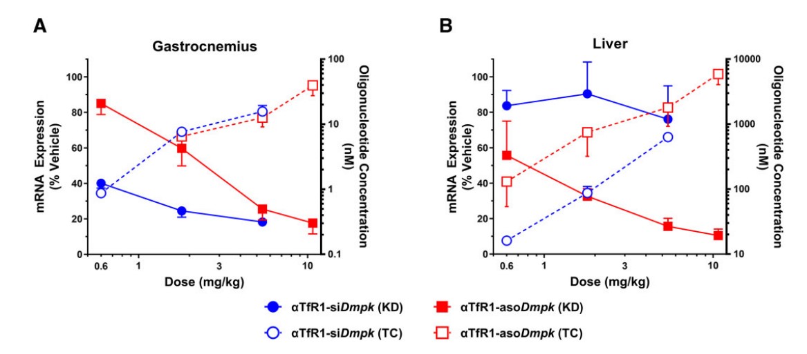 Fig.4 TfR1 AOCs conjugated to siRNA or ASO oligonucleotides produce mRNA silencing activity in muscle. (OA Literature)
